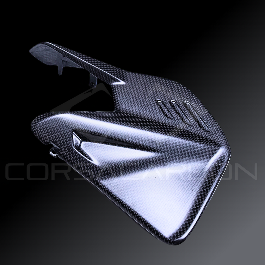 Carbon Fiber Swingarm Cover – Ducati Panigale V4 / V4S (2025)