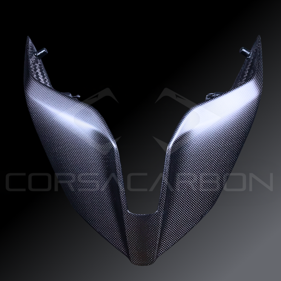Carbon Fiber Tail Fairing – Ducati Panigale V4 / V4S (2025)