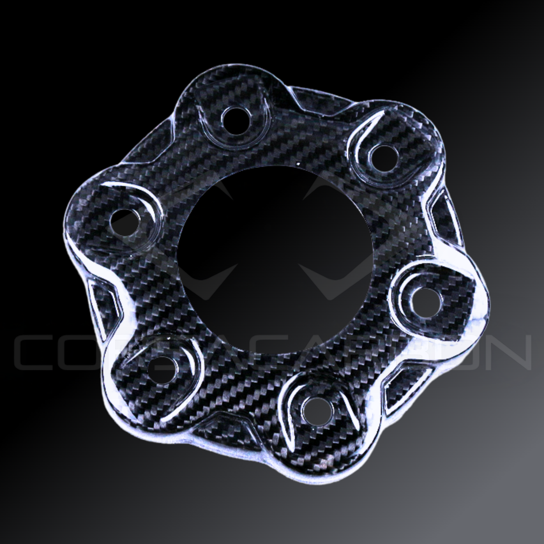 Carbon Fiber Rear Sprocket Cover – Ducati Panigale V4 / V4S / V4R / SP (2018–2024)